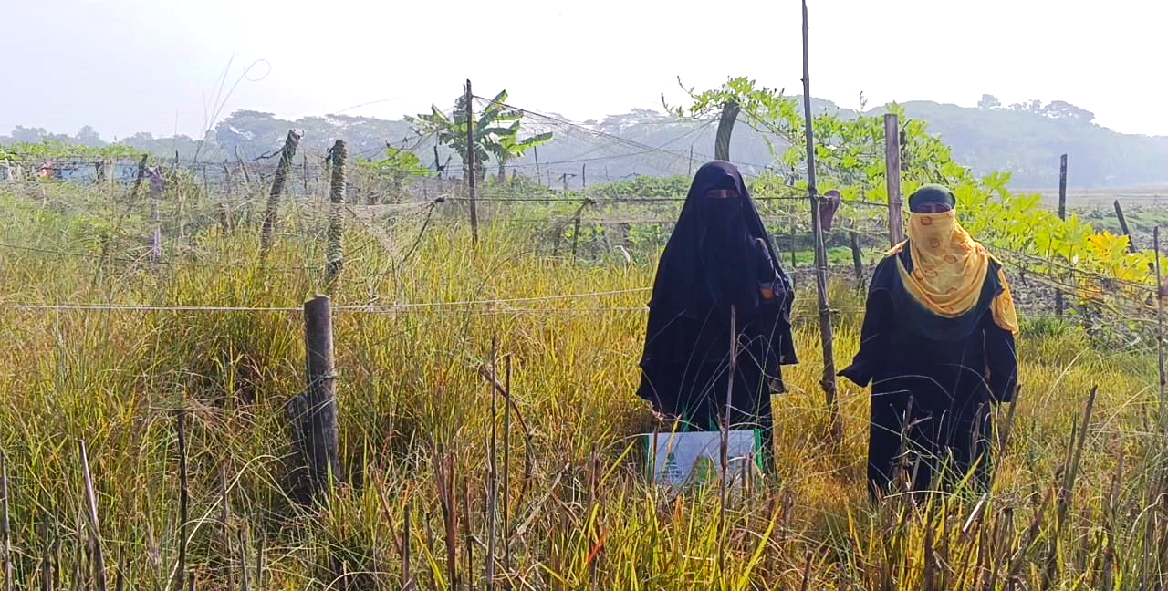 ভোলায় সন্তান নিয়ে গৃহবধূর মানবেতর জীবন-যাপন