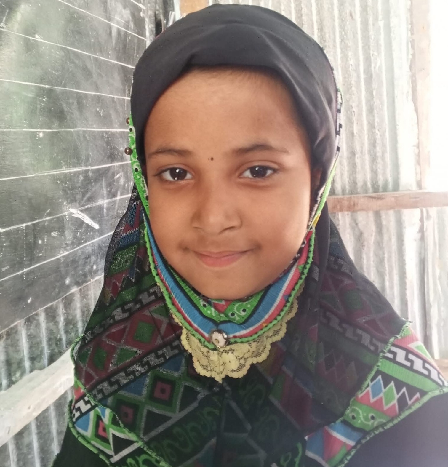 ভোলার আলীনগরে পানিতে ডুবে শিশু রাইসা’র মৃত্যু
