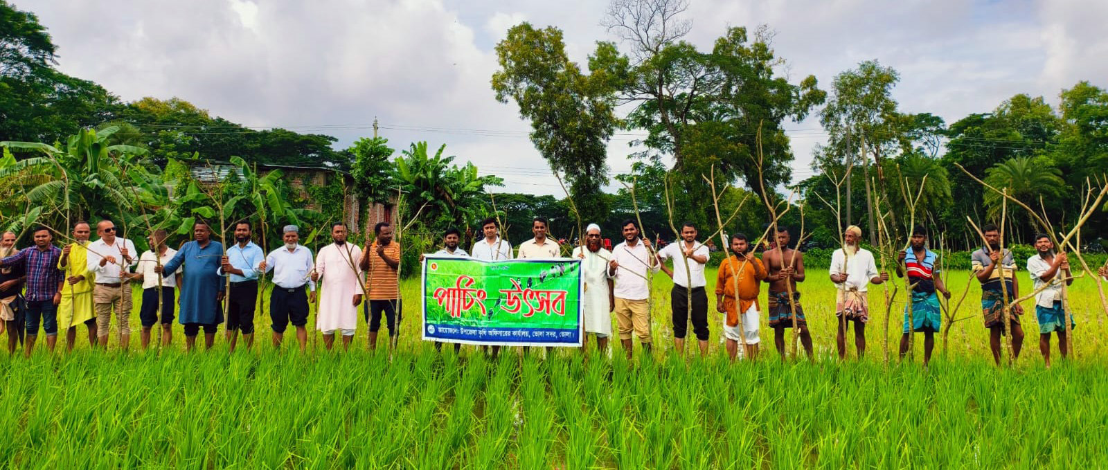 ভোলায় পার্চিং উৎসব: নিরাপদ ধান উৎপাদনে কৃষকদের উদ্বুদ্ধকরণ