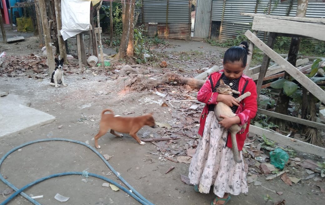 লালমোহন হাসপাতালে নেই জলাতঙ্কের ভ্যাকসিন