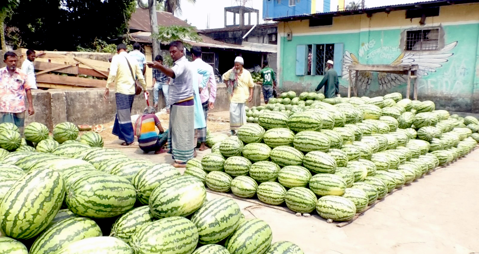 ভোলায় তরমুজের বাজারে মন্দা, দাম না পেয়ে হতাশ চাষি-ব্যবসায়ী