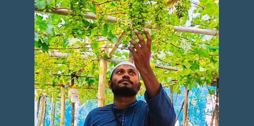 বাড়ির ছাদে ২১ জাতের বিদেশি আঙুর চাষ