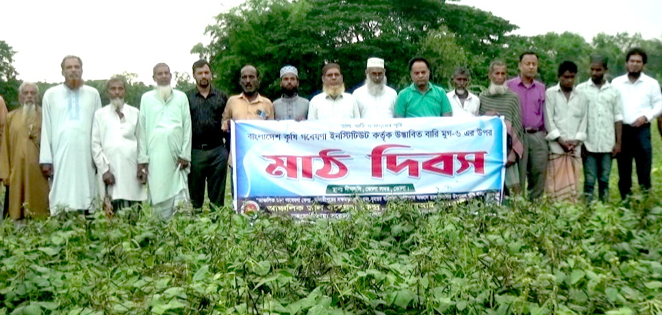 ভোলায় বারি মুগ-৬ ও-৮ কৌশল শীর্ষক মাঠ দিবস অনুষ্ঠিত