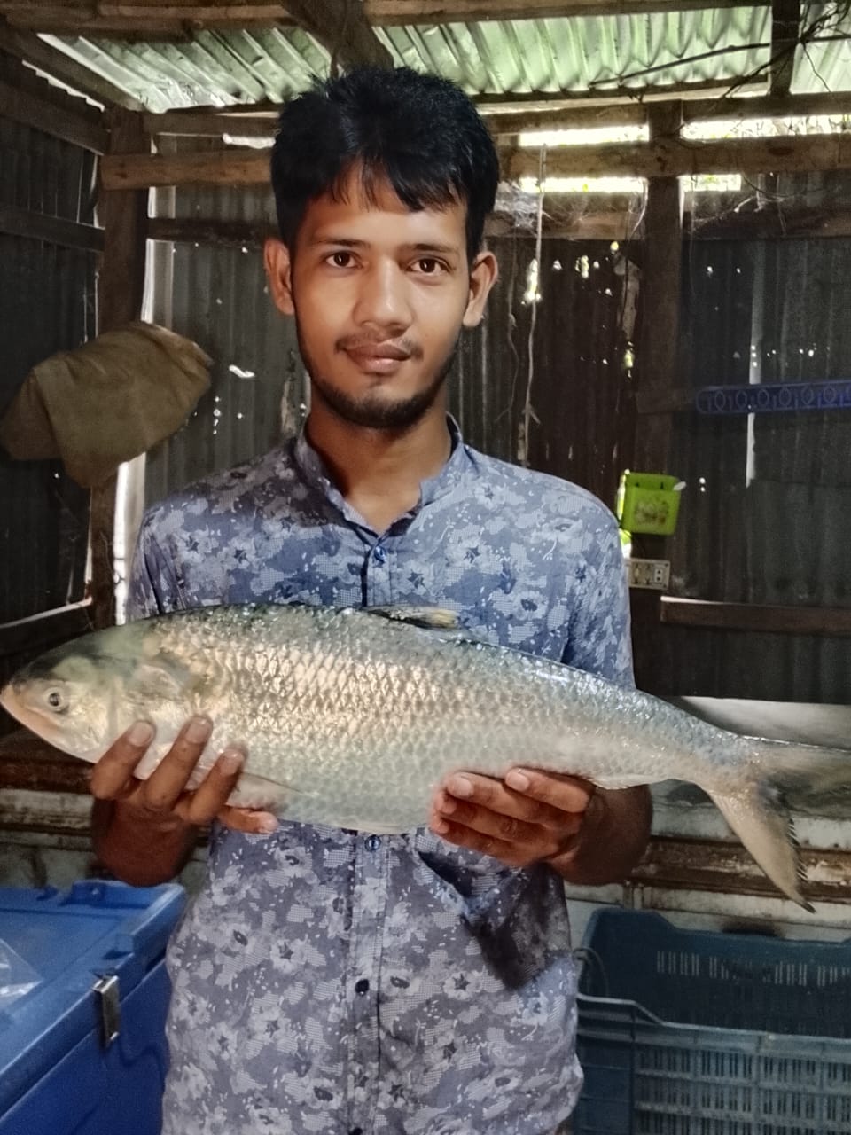 লালমোহনে জেলের জালে ধরা পড়ল ৩ কেজির ‘রাজা ইলিশ’, নিলামে ১১ হাজার টাকায় বিক্রি