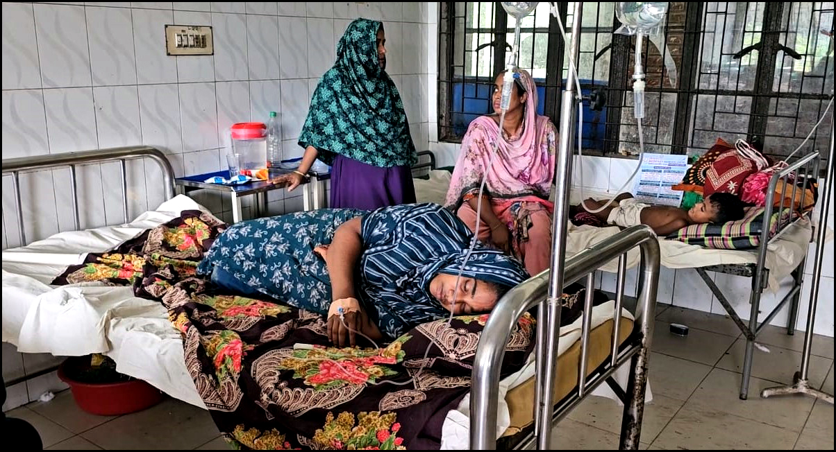 ভেলুমিয়ায় বাঁশ ঝাড়ের টনি কাটাকে কেন্দ্র করে সংঘর্ষ, নারীসহ আহত-২