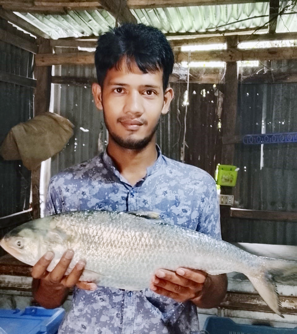 লালমোহনে জেলের জালে ধরা পড়লো ৩ কেজির ‘রাজা ইলিশ’