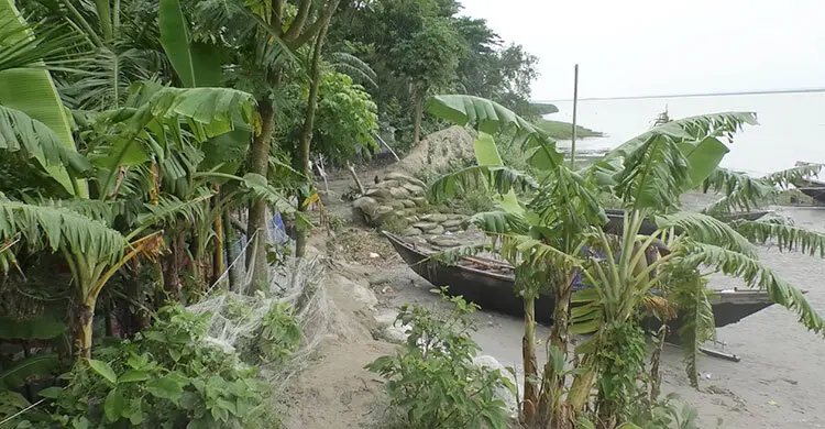 ভোলার লালমোহনে বেড়িবাঁধ ভেঙে প্লাবিত বসতঘর, চরম দুর্ভোগে হাজারো মানুষ