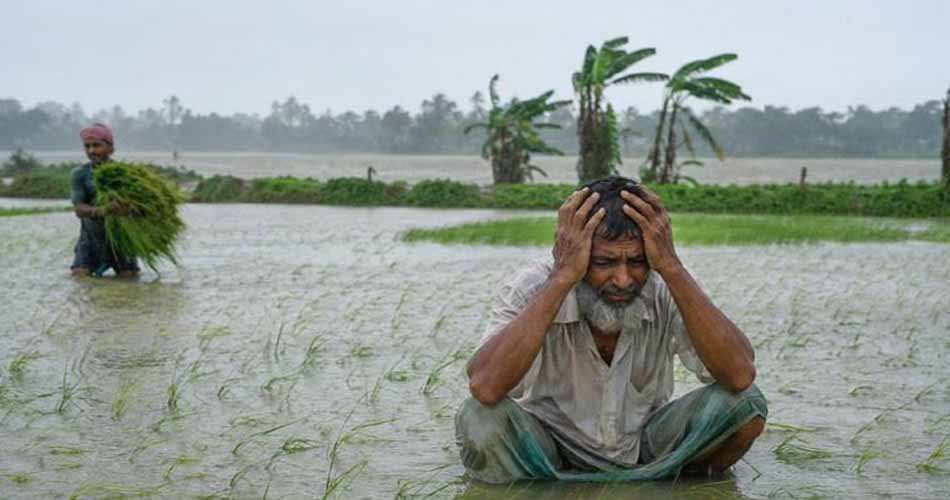 বরিশালে অতিবৃষ্টিতে ক্ষতিগ্রস্ত ৪১ হাজার কৃষক