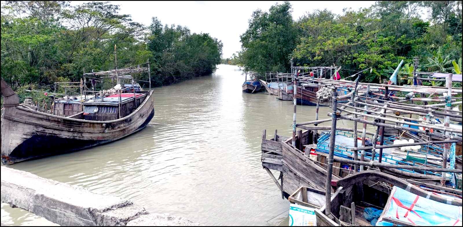 ভরা মৌসূমেও নেই কাঙ্খিত ইলিশ, হতাশায় চরফ্যাশনের জেলেরা