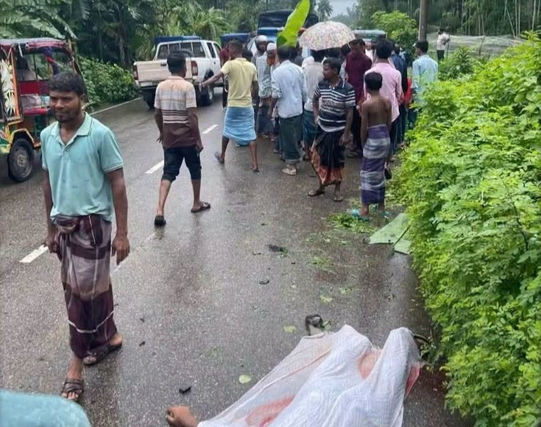 ভোলার বোরহানউদ্দিনে টমটম উল্টে চালক নি-হ-ত