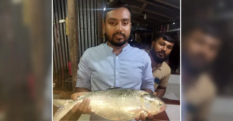 ভোলার মেঘনায় জেলের জালে ২ কেজি ১৩০ গ্রামের রাজা ইলিশ, বিক্রি ৯ হাজার টাকায়