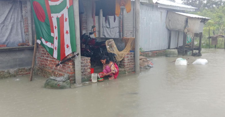 টানা বর্ষণে পানিবন্দী ভোলার হাজারো মানুষ, তলিয়েছে সড়ক ও ফসলের মাঠ
