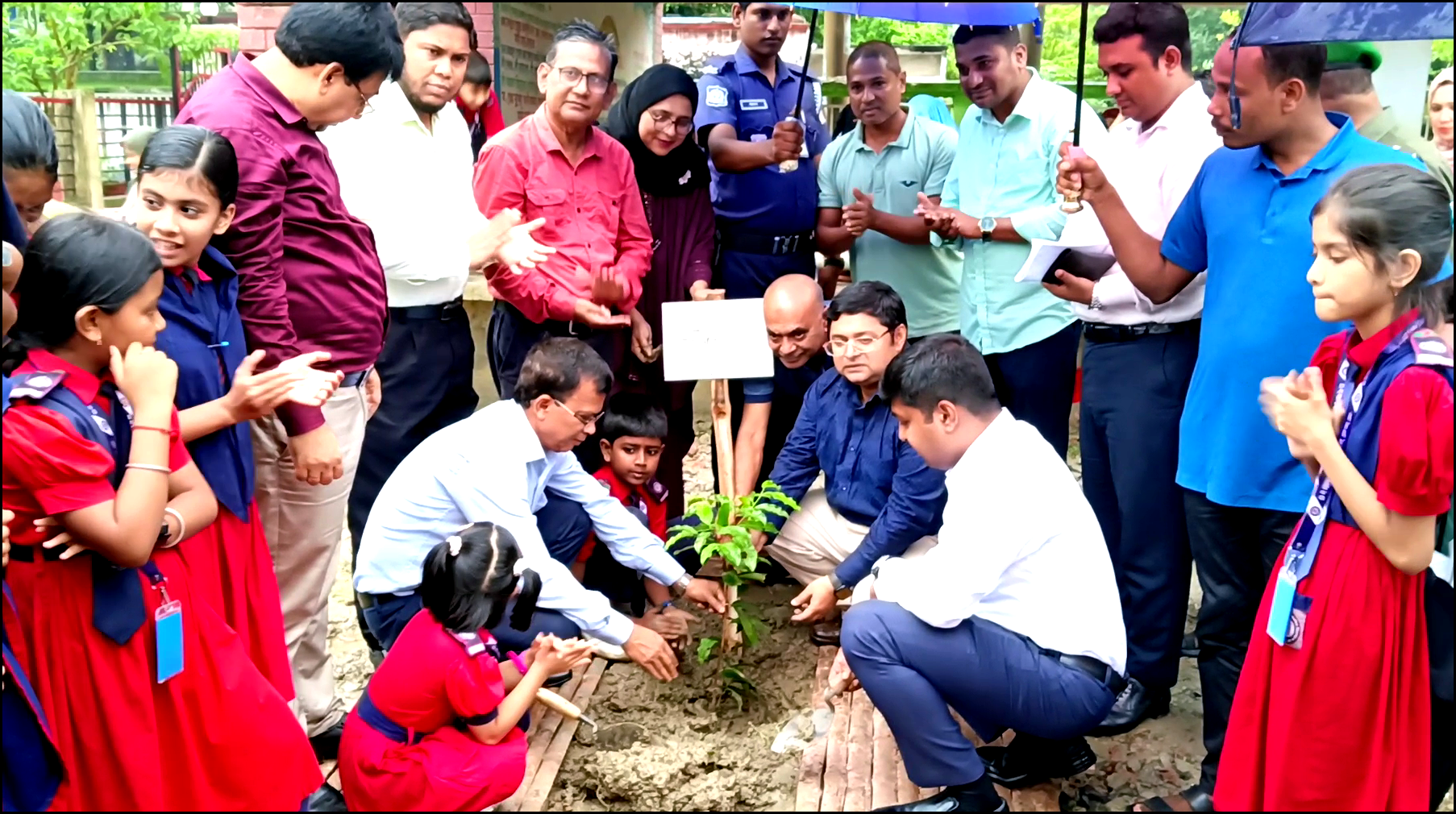 প্রধানমন্ত্রীর হাতে লাগানো বকুল গাছ ভোলায় পুনঃরোপণ, উচ্ছ্বসিত শিক্ষার্থী-শিক্ষক