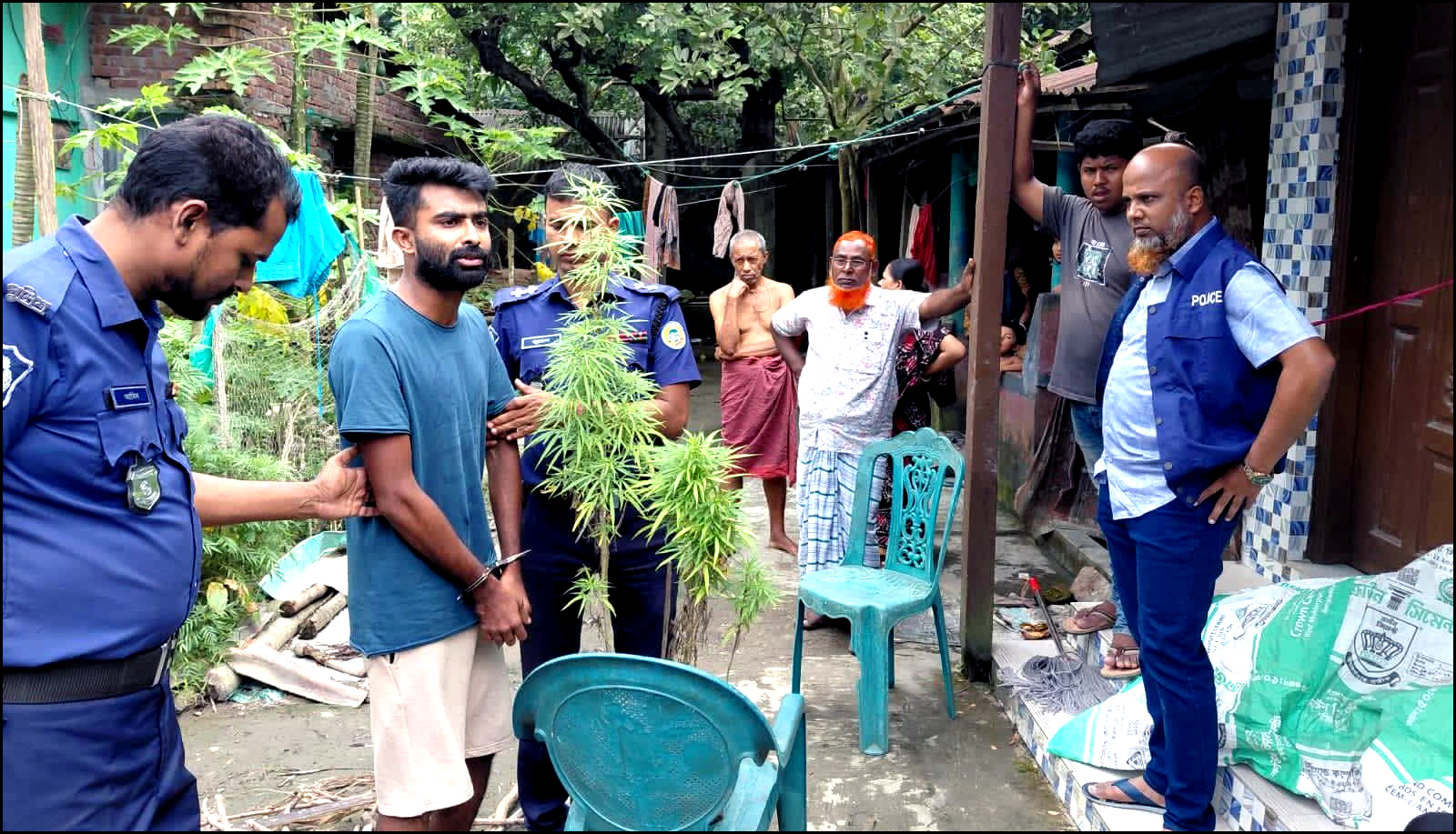 বোরহানউদ্দিনে বাথরুমের ছাদ থেকে গাঁজা গাছসহ যুবক গ্রেফতার