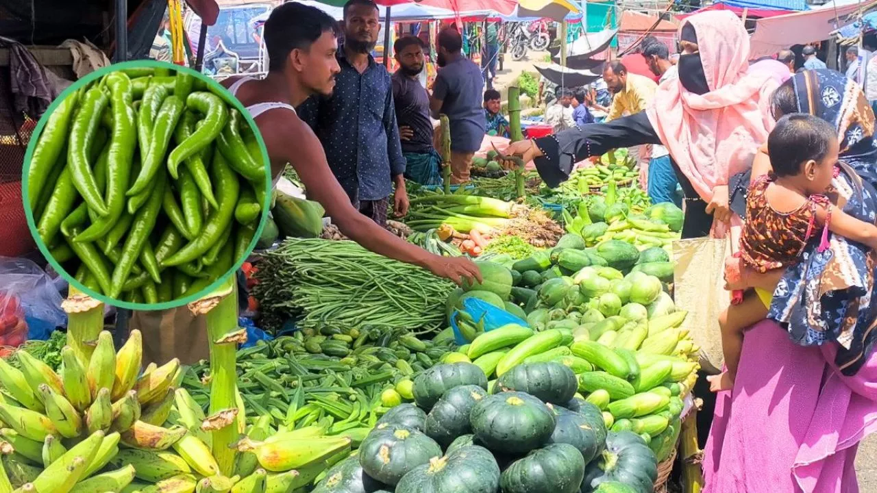 কাঁচামরিচ ৩২০ টাকা কেজি, নিত্যপ্রয়োজনীয় বাজারে চাপে স্বল্প আয়ের মানুষ