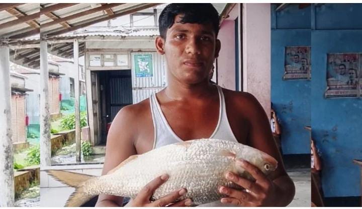 ভোলার মনপুরায় জেলের জালে দুই কেজির ‘রাজা ইলিশ’